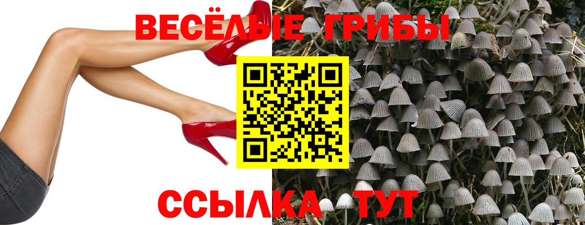 Галлюциногенные грибы GOLDEN TEACHER Десногорск