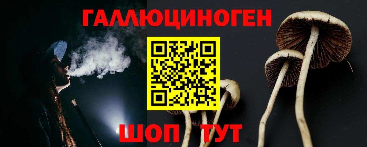 Галлюциногенные грибы мицелий  Вход с VPN  Десногорск  Галлюциногенные грибы Psilocybine cubensis 